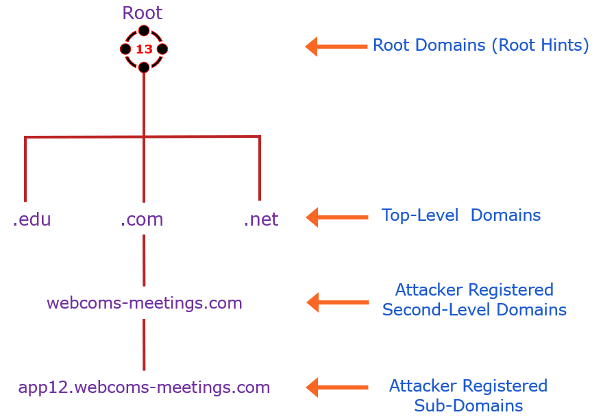 DNS structure